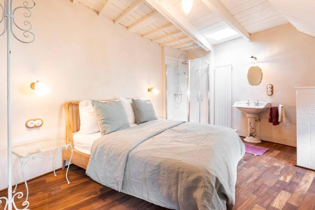 安特卫普Carriage House In Quiet Ecological Garden别墅 外观 照片