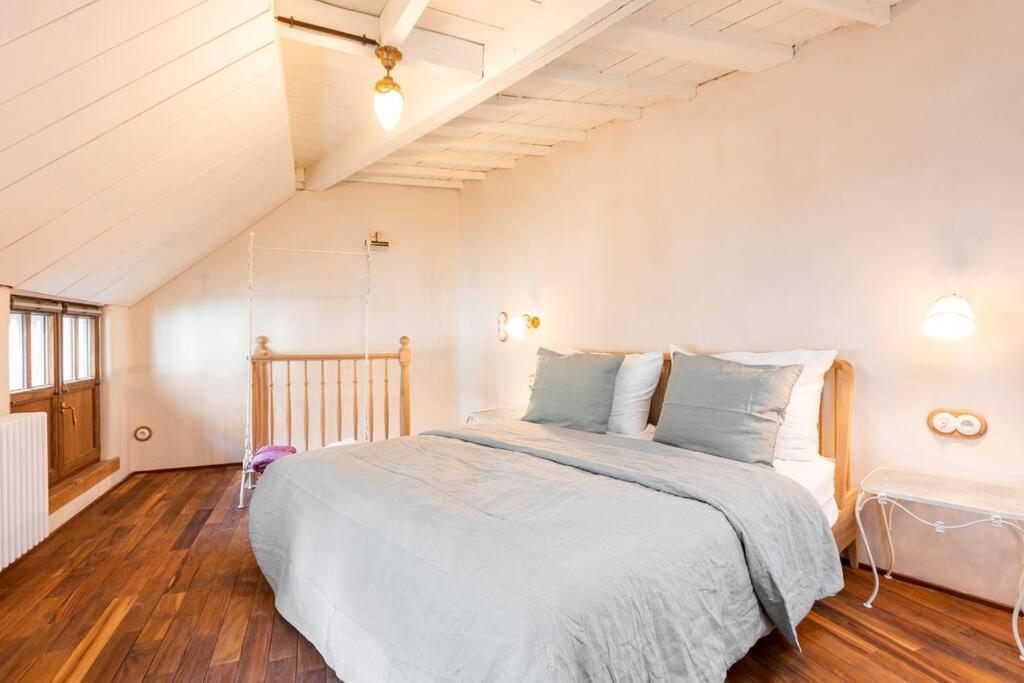 安特卫普Carriage House In Quiet Ecological Garden别墅 外观 照片